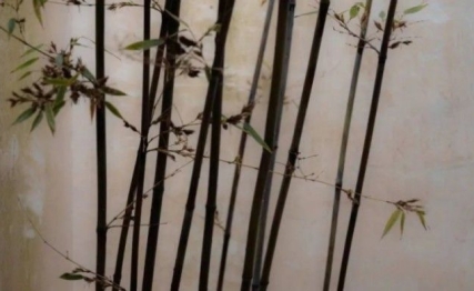 文天祥：撑起南宋气节的铮铮铁骨