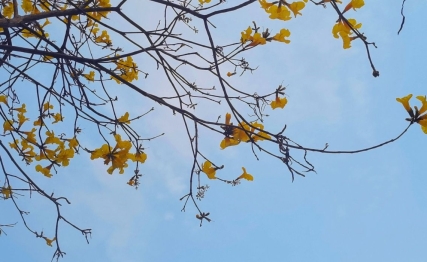 像朱熹一样读《易》，溯本追源，不迷信权威