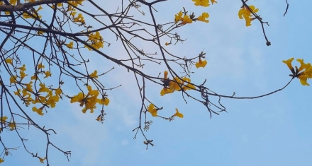 像朱熹一样读《易》，溯本追源，不迷信权威