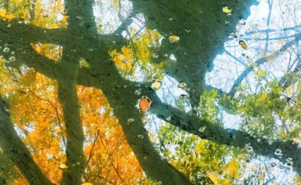 房谋杜断,何尝不是互补信任、共同成就的职场精神的体现