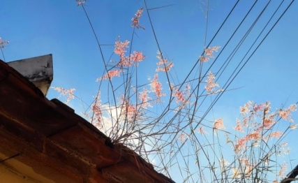 夬卦:六爻的武林对决,揭示了决策者面对的种种困境