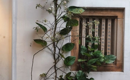 传统窗户的演变，何尝不是一部微缩的生活美学史