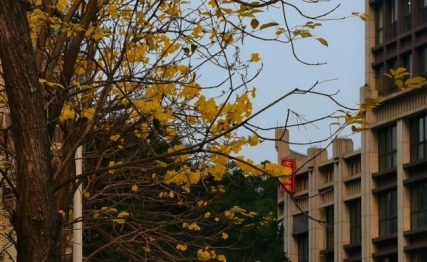 损益之道：真正的智慧在于洞悉对立面的统一与转化