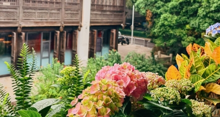 安金藏舍身救皇嗣，小人物的侠骨忠义竟改写了历史