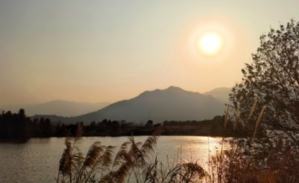 渐卦|有条不紊、循序渐进，有多大的能力就做多大的事