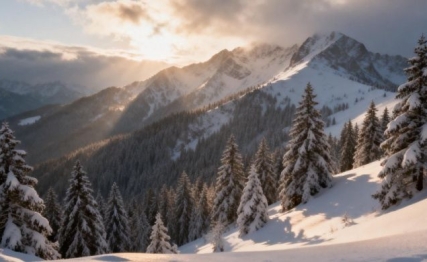 大寒迎年 养生有道