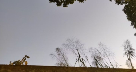 综卦否与泰，盛中见衰防范未然，乱中争先抓住风口的智慧