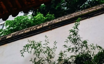 巽卦|唯有深入事物，洞察其规律和弊端才能更有效的应对