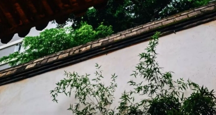 巽卦|唯有深入事物，洞察其规律和弊端才能更有效的应对