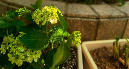 雨水：春的信使，润物无声