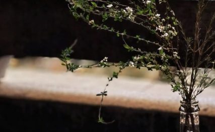 兑卦|心悦是相互的需诚信互惠，更需谨防小人阿谀取悦