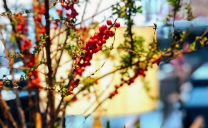 临与观：唯有实践与理论共同提升，才能行稳致远实现成功