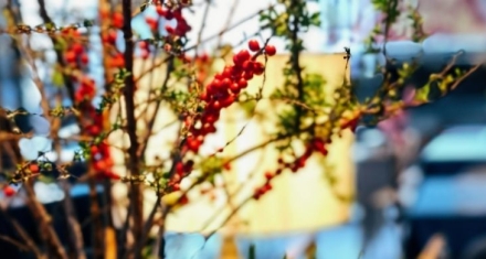 临与观：唯有实践与理论共同提升，才能行稳致远实现成功