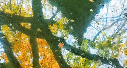 涣卦|一场打破僵局的危机