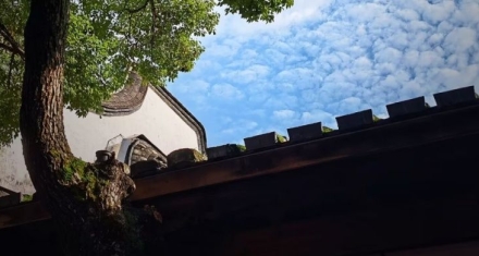 颐卦六三：贾雨村从官场的逆袭，走向人性的堕落