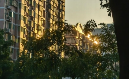 顺时养正，逆境矫枉的综卦智慧|颐卦大过