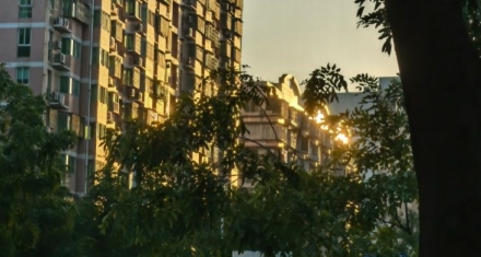 顺时养正，逆境矫枉的综卦智慧|颐卦大过