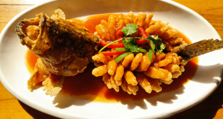 一席松鼠鳜鱼，半部江南食事