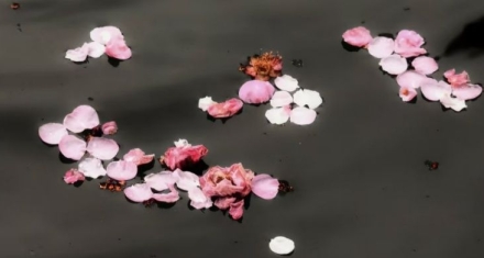 坎境中砥砺前行，实现自我心性的升华|坎离综卦