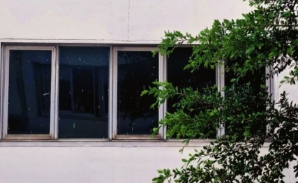 前辈窃取我的工作成果，职场新人的我却这样做？