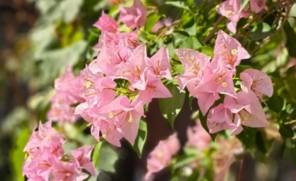 暮春之初的雅集：上巳节的文化记忆