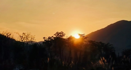 乾卦|刚健不息，与时偕行的开创之道