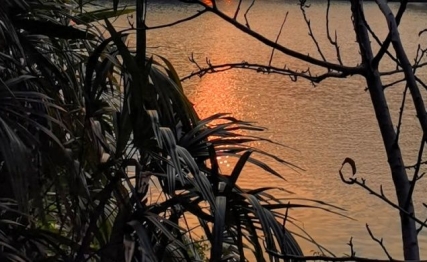 濠梁之辩与讼卦初六：当庄子遇见《周易》的处世智慧