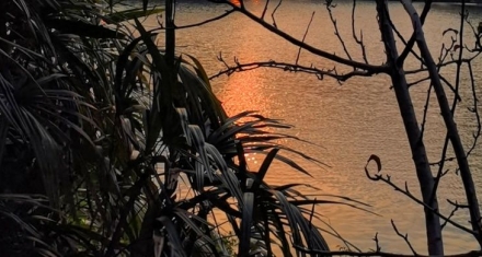 濠梁之辩与讼卦初六：当庄子遇见《周易》的处世智慧