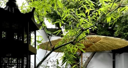 萃升之道：聚以正，升以时，才能行稳致远